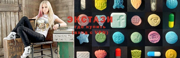 мдпв Осташков