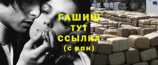 мдпв Осташков