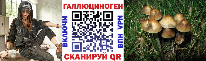 продажа наркотиков Красноперекопск Псилоцибиновые грибы MAGIC MUSHROOMS