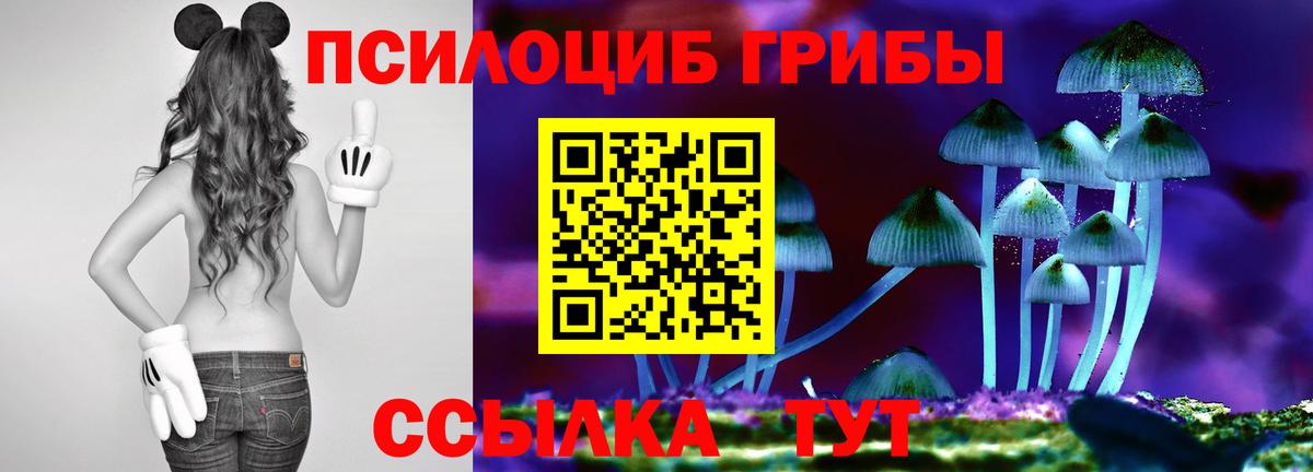 Псилоцибиновые грибы Magic Shrooms  Вход с VPN  Красноперекопск 
