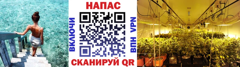 Каннабис SATIVA & INDICA  Красноперекопск 